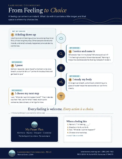 Preview of the From Feeling to Choice handout
