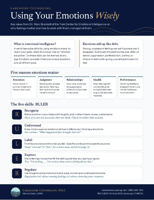Preview of the Using Your Emotions Wisely handout